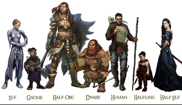 The Best DnD Races (or Species) for Beginners | Short Rest Studios