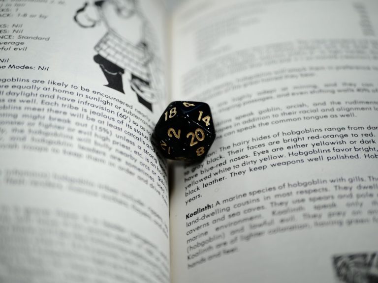 d20 and D&D book