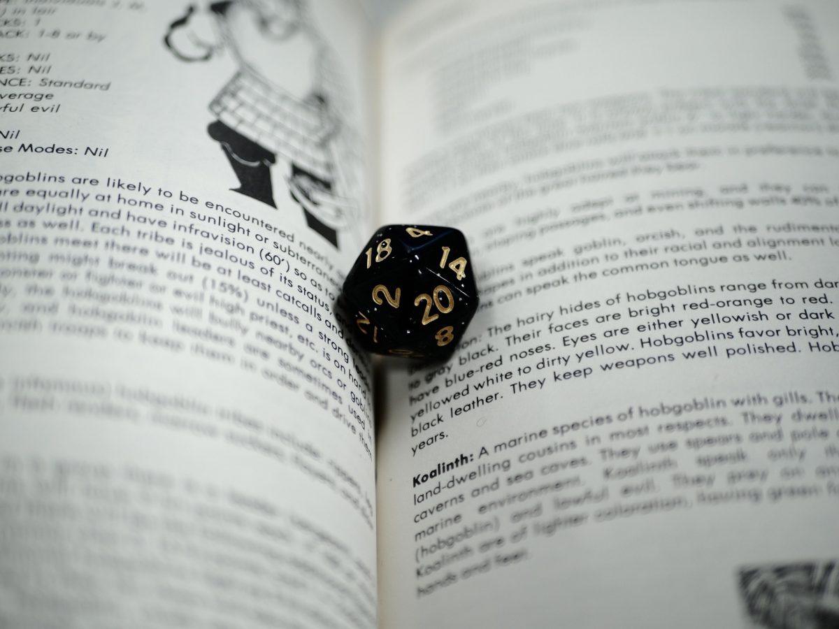 d20 and D&D book